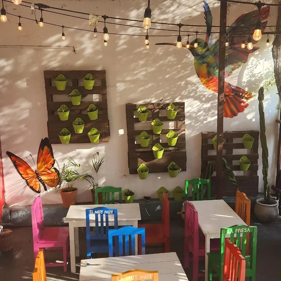 Дом отдыха Casa Frida Hotel Tulum